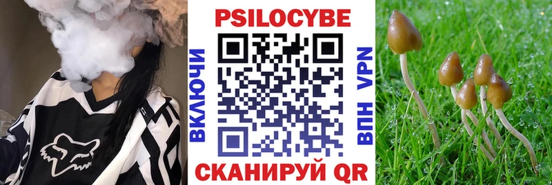 наркошоп  Тихорецк  Псилоцибиновые грибы Cubensis 