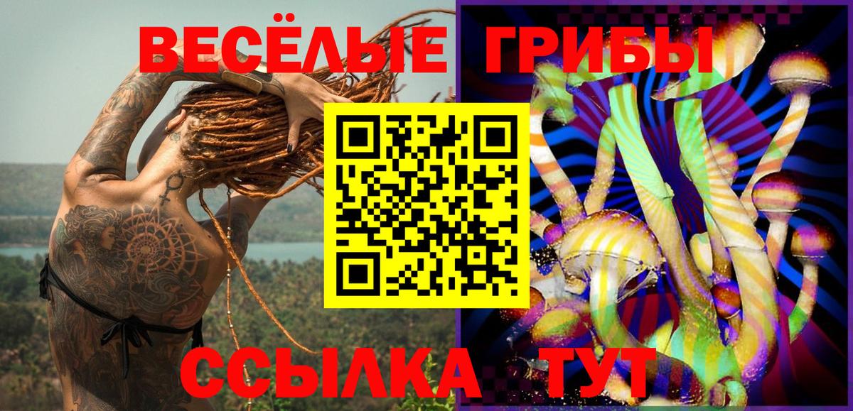 Тихорецк  Псилоцибиновые грибы GOLDEN TEACHER  Вход с VPN 